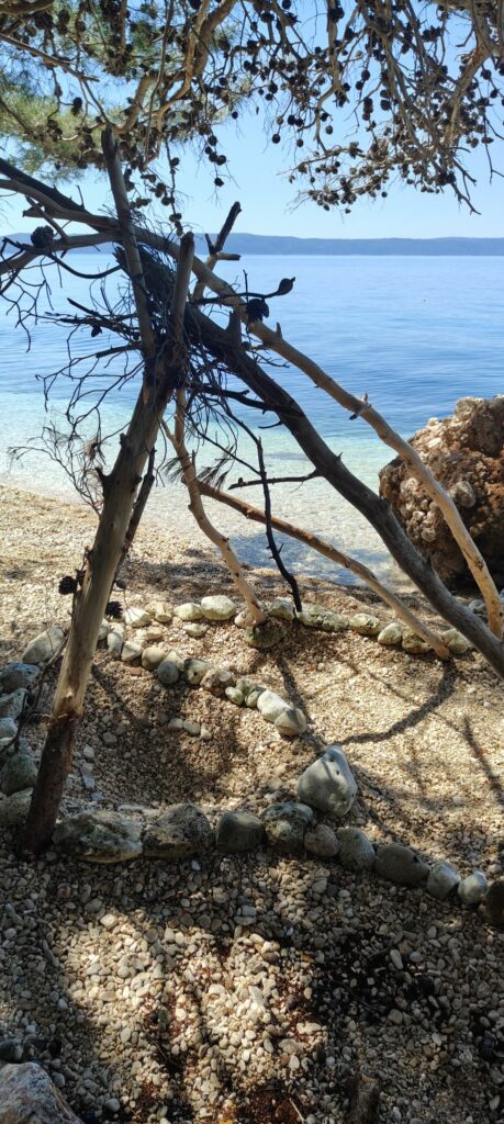 Kilka słów o oliwie z oliwek